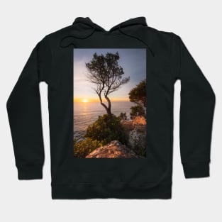 Tree At Sunrise Hoodie